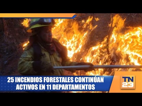 25 incendios forestales continúan activos en 11 departamentos
