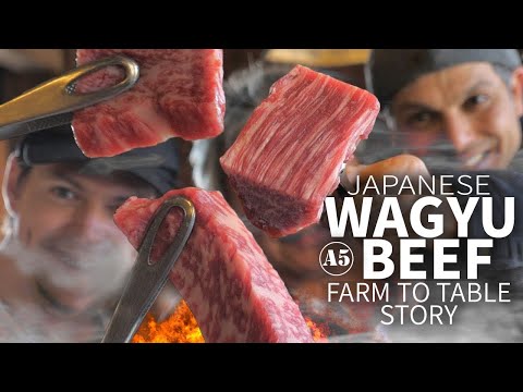 Japanese Wagyu Beef Story (from Farm to Table) ? ONLY in JAPAN