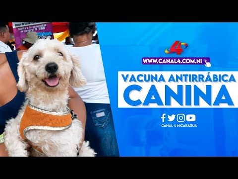 Lanzamiento de la campaña nacional de vacuna antirrábica canina