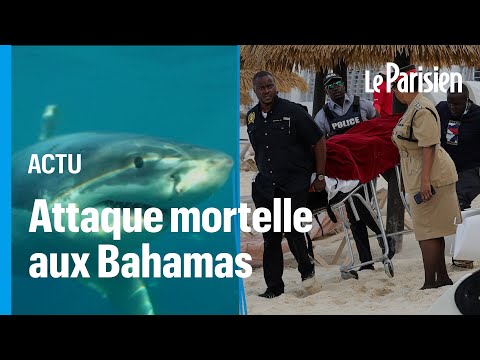 Une touriste de 44 ans tuée par un requin alors qu’elle faisait du paddle aux Bahamas