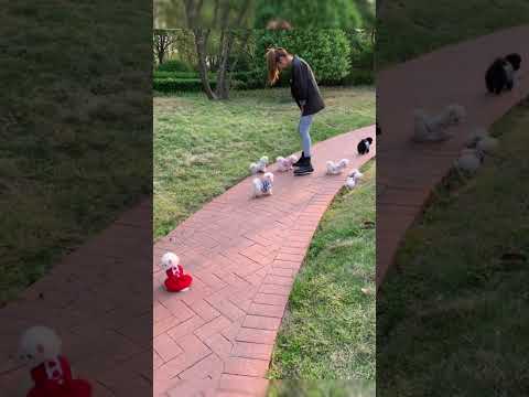 #All My Pets, One Big Hug#Caught with a Handful of Happiness#Fluffy Squad Goals