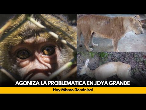 Expertos sugieren que Gobierno debe donar zoológico, Joya Grande a otras organizaciones
