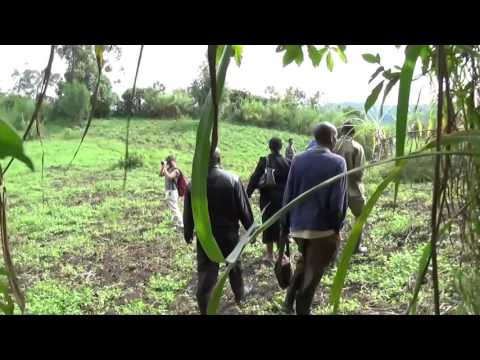 Grundon Waste Management visits Uganda Community Reforestation Project