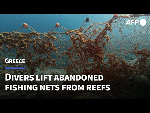 Divers haul abandoned 'ghost nets' from seabed off Greek island | AFP