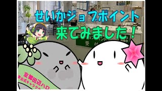 「せいかジョブポイント紹介動画」　ハローワーク京都田辺　制作