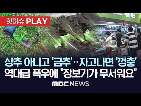 상추 아니고 '금추'..자고나면 '껑충' 역대급 폭우에 "장보기가 무서워요" -[핫이슈PLAY] MBC뉴스 2023년 7월 26일