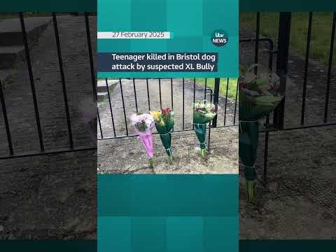 Teenager killed in Bristol dog attack by suspected XL Bully #itvnews