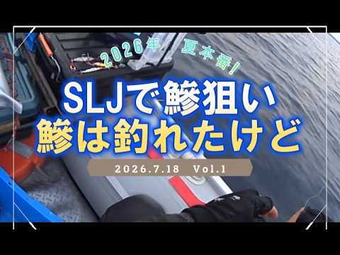 ２０２６年夏本番！SLJで鰺狙い！鰺は釣れたけど・・・