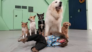 動画サムネイル