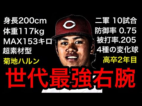 【カープ】菊地ハルンが無双状態。高卒2年目の巨漢右腕の現在と将来性について考察します。