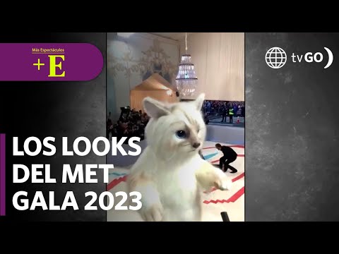 Looks del Met Gala 2023 | Más Espectáculos (HOY)