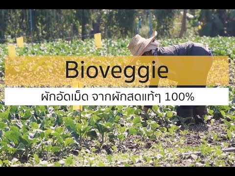 [สินค้าเกษตรนวัตกรรม]Bioveggi