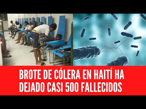 BROTE DE CÓLERA EN HAITÍ HA DEJADO CASI 500 FALLECIDOS