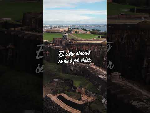Puerto Rico me enseñó a volar y a cantarle a la vida. 🇵🇷🖤