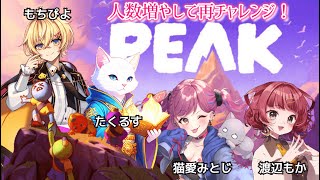 【PEAK】まったり頂上目指す！リベンジ w/ 猫愛みとじ 渡辺もか たくるす【もちぴよ】#ぴよなま