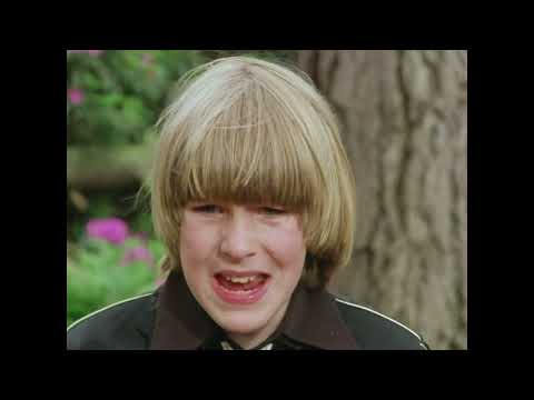 Fünf Freunde geraten in Schwierigkeiten (1) - Serie 2 Folge 1 ( 14 ) - Fünf Freunde 1970's HQ