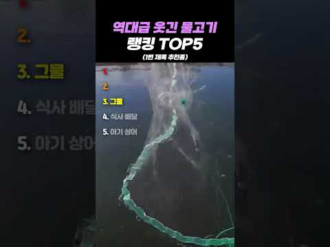 역대급 웃긴 <strong>물고기</strong> 랭킹 TOP5