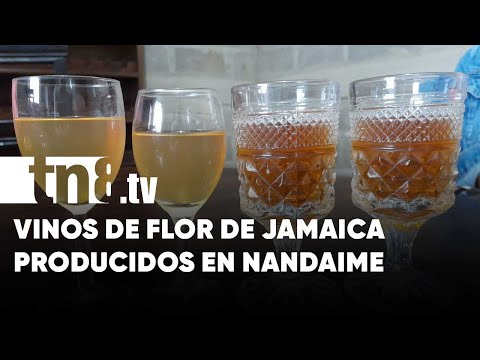 Una delicia orgánica: Florece la producción de vinos en Nandaime - Nicaragua