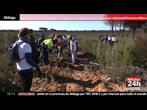 Noticia - 60 escolares de Moguer replantan una zona quemada en 2017