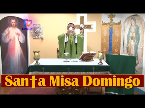 Misa Domingo 21 de Julio 2024 Padre Enrique Yanes  TVFAMILIA.COM y AppTVFAMILIA @TVFAMILIA-TV