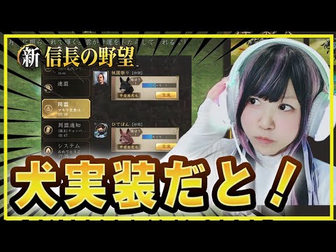 💗【静かにできないシンノブ】おい！チャット欄がペット案内所になってるんだが！【#新信長の野望】342