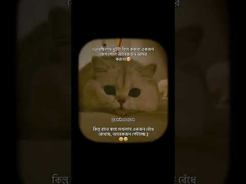 এইটা কোনো কথা 😑 #shorts #funny #viral #motivation #foryou #trending #unfrezzmyaccount #reels #views