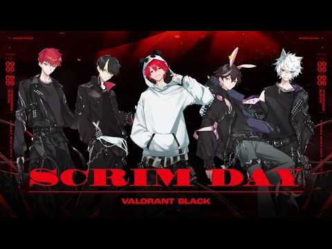 [Valo] revive black scrim