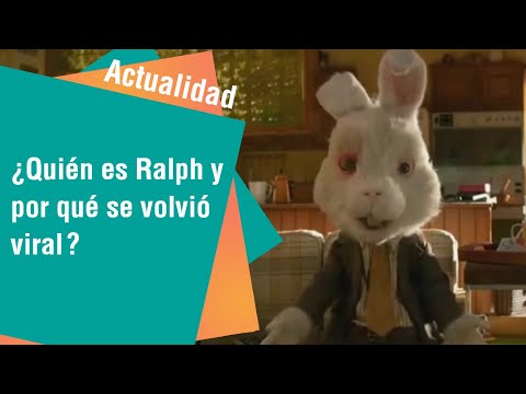 Save Ralph, el corto que busca crear consciencia sobre la experimentación en animales | Actualidad