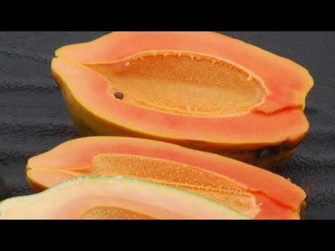 Hechos del Agro -  Producción de papaya y coco enano