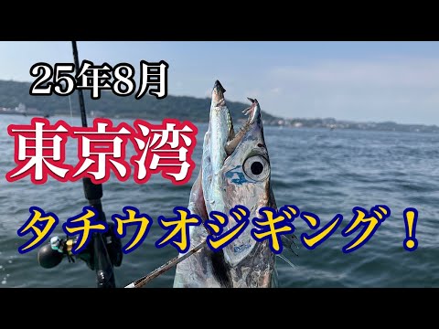 【25年8月】東京湾！タチウオジギング！夏の陣！