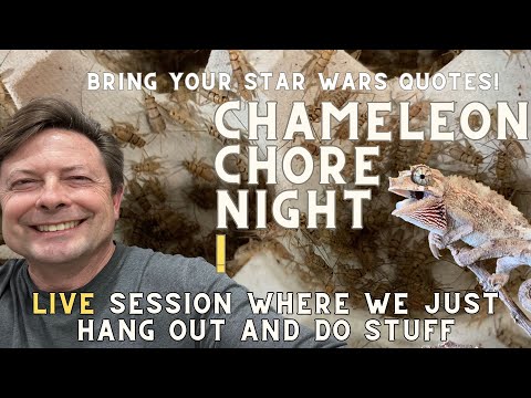 Chameleon Chore night Yep, this again! Going to hang out, talk chameleons, and do some chameleon chores!

🎙️ New to s