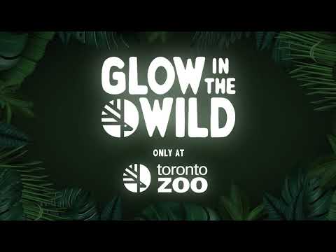 Experience #GlowInTheWild This September 🏮 | Tickets On Sale Now!