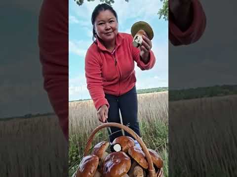 #remix #เก็บเห็ด