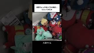 動画サムネイル