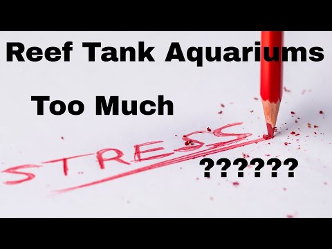 Reef Tank Aquariums ( Are They Relaxing) or ( Do T This episode we are talking about reef tank aquarium stress. Are reef tank aquariums relaxing or do 