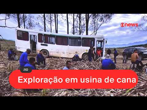 RJ: 67 trabalhadores são resgatados de condições análogas à escravidão em usina de cana