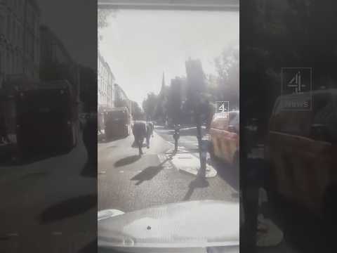 Horses loose in London... AGAIN