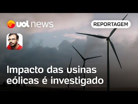 Síndrome da turbina eólica: vizinhos de parques viram alvo de estudo em Pernambuco