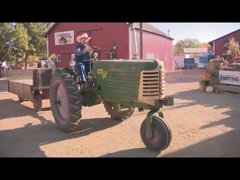 Local thrill: Colorado's oldest and spookiest corn maze