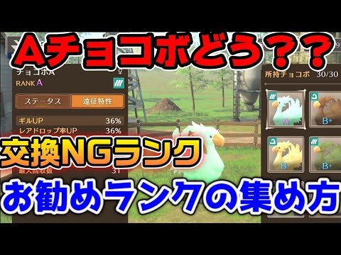 【FF7EC】チョコボAランク紹介！交換してはいけないチョコボも紹介【ファイナルファンタジーVII エバークライシス】