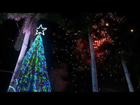 El Puerto Salvador Allende instaló oficialmente la navidad con la encendida del árbol