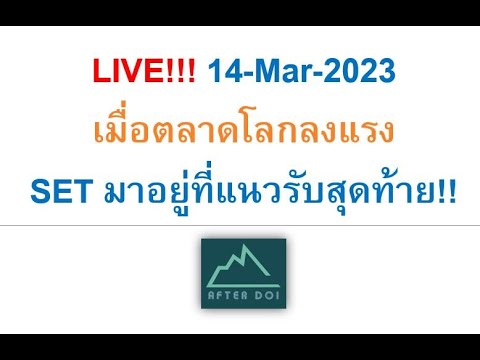 LIVE!!!14-Mar-2023เมื่อตลาดโล