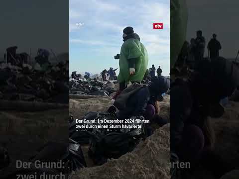 Ölteppich hält Russen nicht vom Planschen ab | #ntv