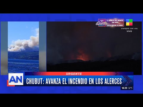 CHUBUT: avanza el fuego en el Parque Nacional Los Alerces
