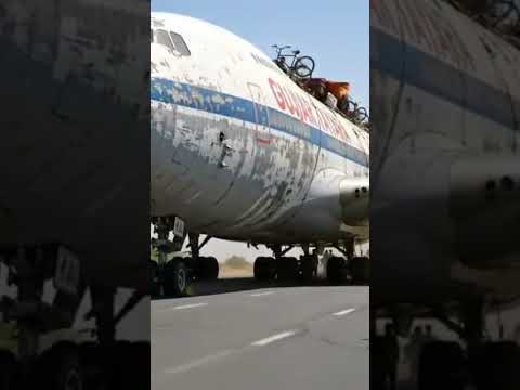 old tiara running on road #run #shortvideos #funny #viral