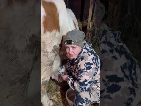 25 февраля 2026 г.