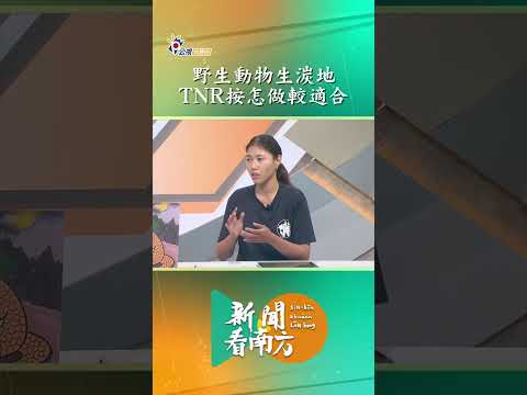 新聞看南方｜野生動物生湠地 TNR按怎做較適合