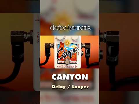 EHX Canyon Delay & Looper