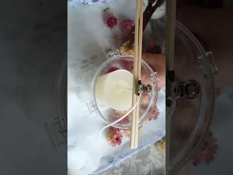 🌼ヘリクリサムのボタニカルキャンドル作りMaking helichrysum botanical candles#shorts#キャンドル #ハンドメイドゆずりりー