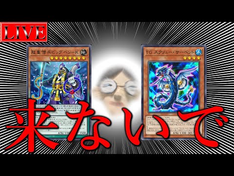 【マスター３～】見えてきましたね！マスターの頂上が！【星杯ランクマ＃１７ 遊戯王マスターデュエル】